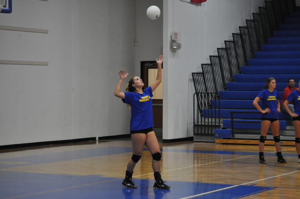 Kaylee Jefferson 2016 volleyball