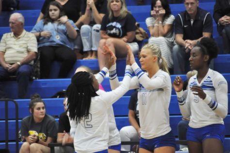 Lady Cat Volleyball 2016