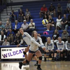 Lady Cats Win Epic Battle in Pine Tree