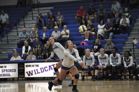 Lady Cat Volleyball 2016