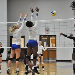 Lady Cats Fall to Pine Tree; Tied for Second Place in District