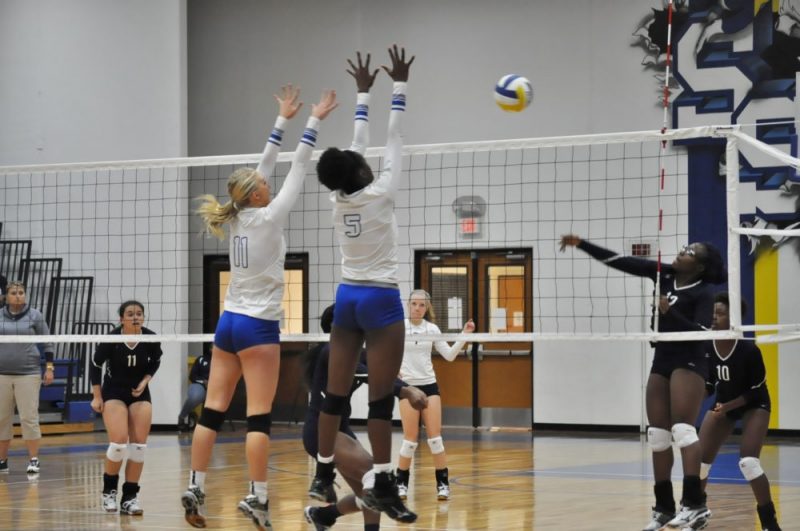 Lady Cat Volleyball 2016