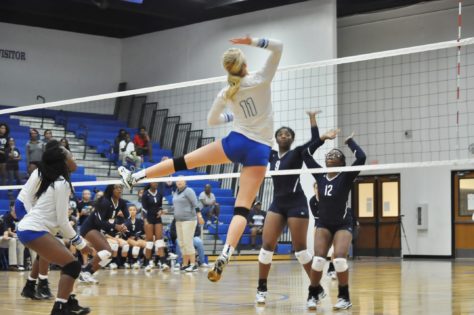 Lady Cat Volleyball 2016