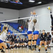 Game Day: Lady Cats at Marshall