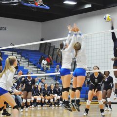 Game Day: Lady Cats at Marshall