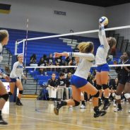 Lady Cats Volleyball Begins Two-a-Day Practice