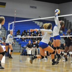 Lady Cats Volleyball Begins Two-a-Day Practice