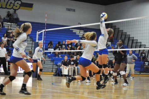 Lady Cat Volleyball 2016