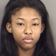 High Speed Chase Ends in Arrest