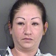 Welfare Concern Results in Arrest