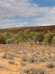 outback