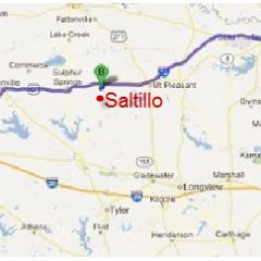 Saltillo Community Homecoming