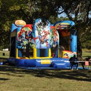 Fall Festival Board Names Patti Stone Sells Grand Marshall