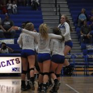 Game Day: Wildcats, Lady Cats at Texas High