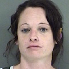 Local Woman Attempts Escape From Arresting Officer