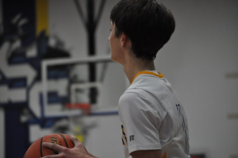 wildcat basketball 2016