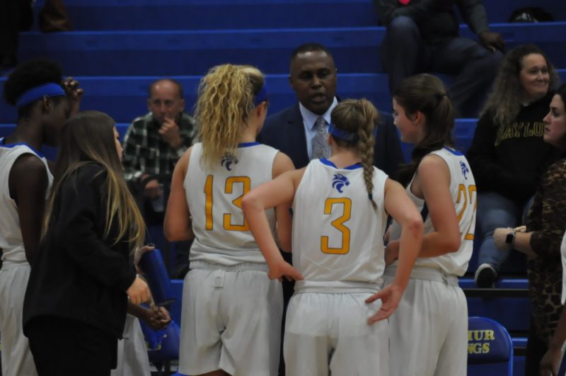 ladycat basketball 2016