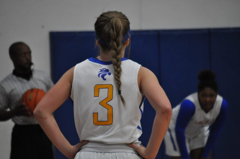 ladycat basketball 2016