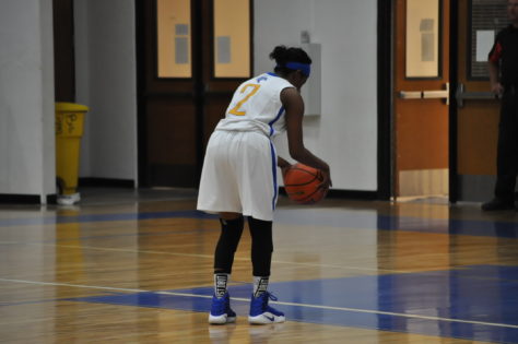 ladycat basketball 2016