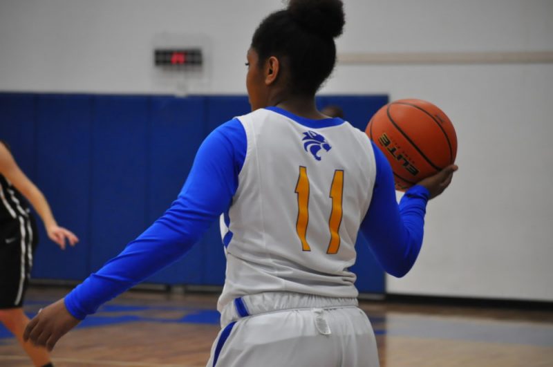 ladycat basketball 2016