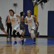 Game Day: Wildcats, Lady Cats