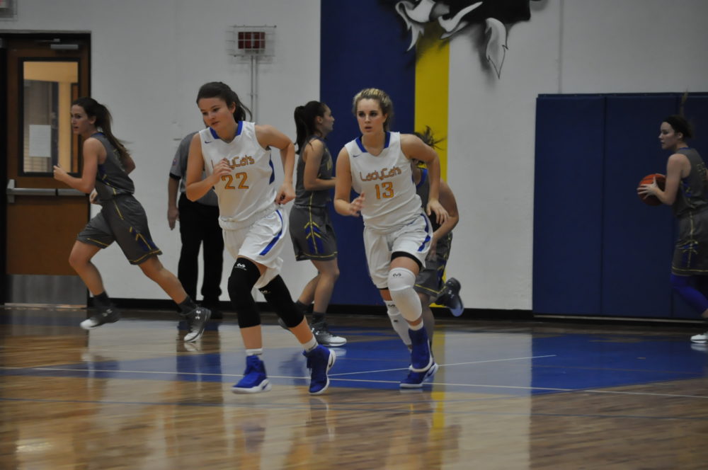 Lady cats basketball 2016