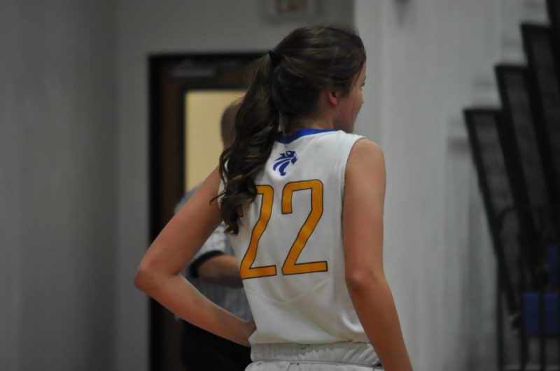 Lady cats basketball 2016