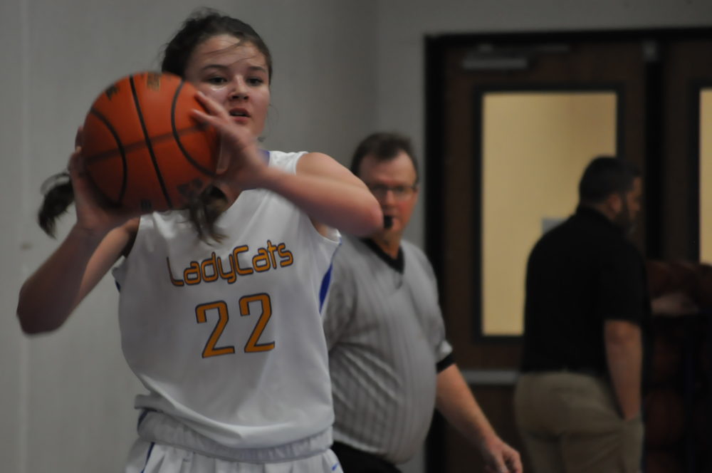 Lady cats basketball 2016