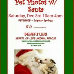 Pet Photos With Santa Benefits Hearts of Life Animal Rescue