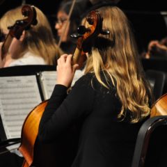 SSMS Orchestra Christmas Concert Showcased Strings