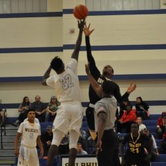 Wildcats 69, PineTree 65