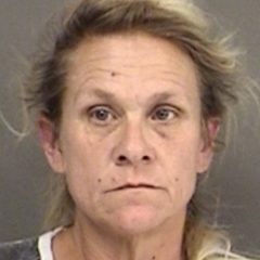 Defective License Plate Result in Arrest