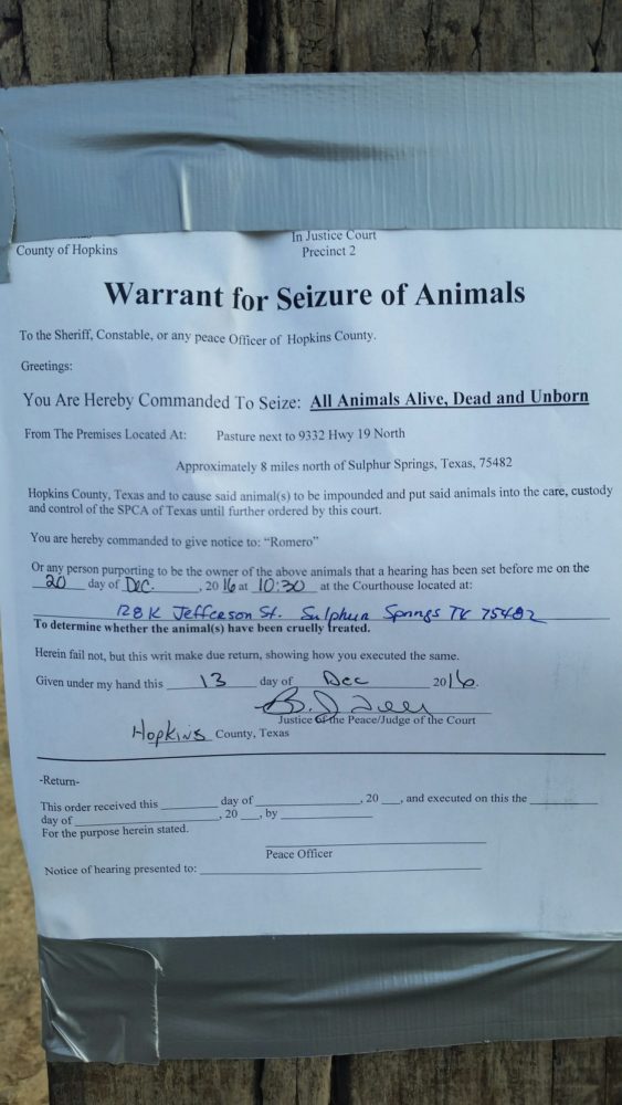 warrant