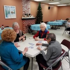 Senior Bridge