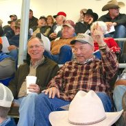 Two Big Cattle Sales Set for March