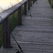 Rainbow Trout Stocking Returns to Texas Waters Nov. 26