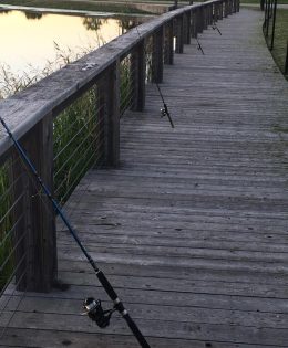 Rainbow Trout Stocking Returns to Texas Waters Nov. 26