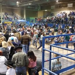“Updated” Preliminary Total for Junior Market Show Sale of Champions at $352,000 with More to Be Added