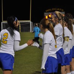 Hale, Wimberly Named to TASCO 5-A All State Team