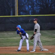 Game Day: Wildcat Baseball, Lady Cat Softball
