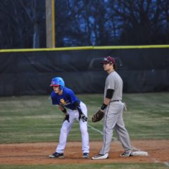 Game Day: Wildcat Baseball, Lady Cat Softball