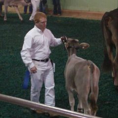 Jake Couch and SSHS FFA Students Shine at Ft Worth Stock Show!