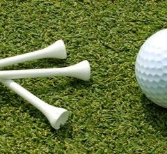 Wildcat Golf Wins With 10-Stroke Victory in Tournament Play
