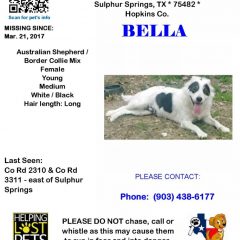 Bella Is Missing; Your Help Needed