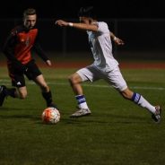 Wildcats Are in Playoffs Following Victory at Hallsville