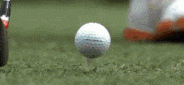 Wildcats Golfers Battle High Winds and Extremely Brutal Course Monday