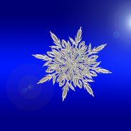 Frost Advisory for Hopkins County Area Tuesday 4 AM to 10 AM
