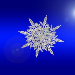 Frost Advisory for Hopkins County Area Tuesday 4 AM to 10 AM