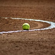 Lady Cats Softball Begins Practice Today