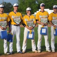 Wildcat Baseball Hosts Senior Night